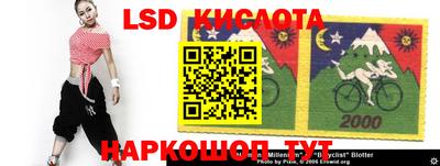 прущие грибы Донецк