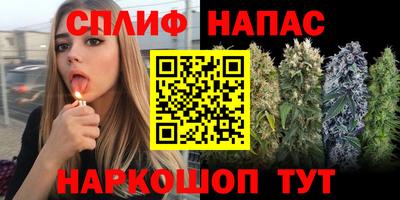 прущие грибы Донецк