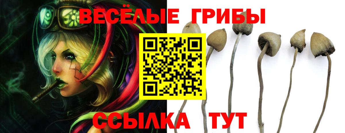 Псилоцибиновые грибы Psilocybine cubensis  Галлюциногенные грибы Magic Shrooms  Еманжелинск  Вход с VPN 